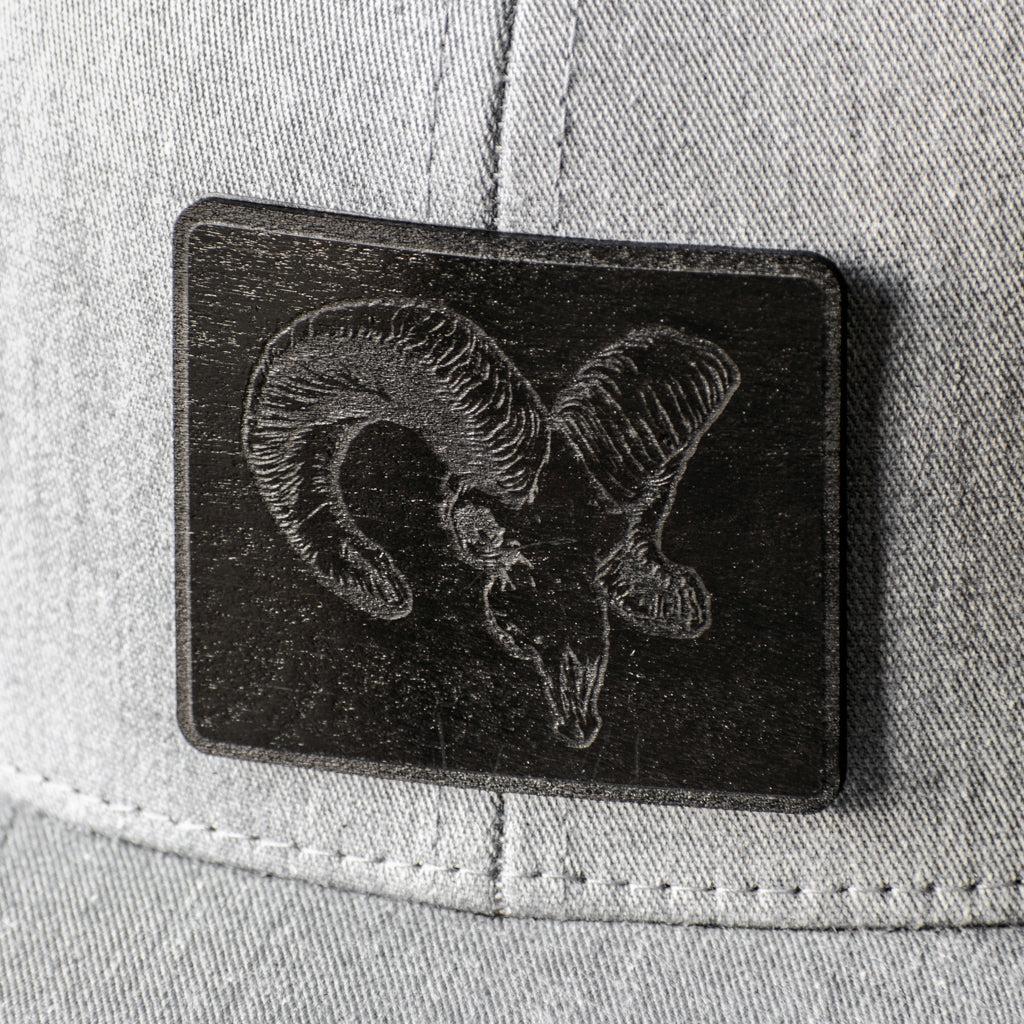 Bighorn Skull