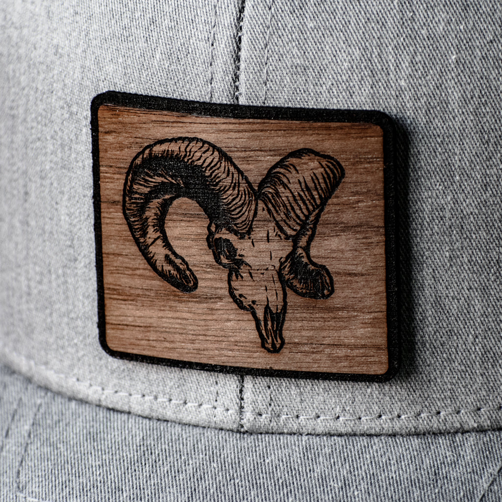 Bighorn Skull