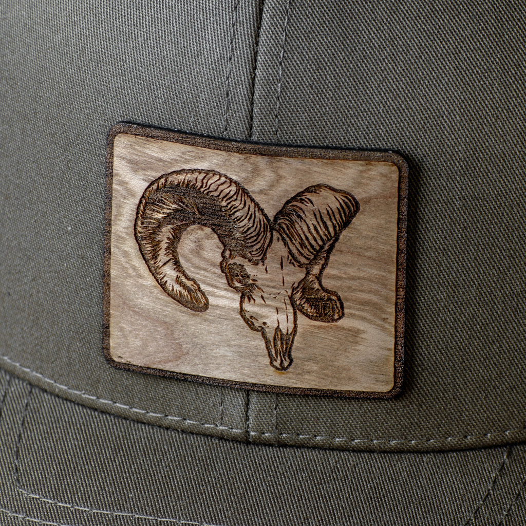 Bighorn Skull