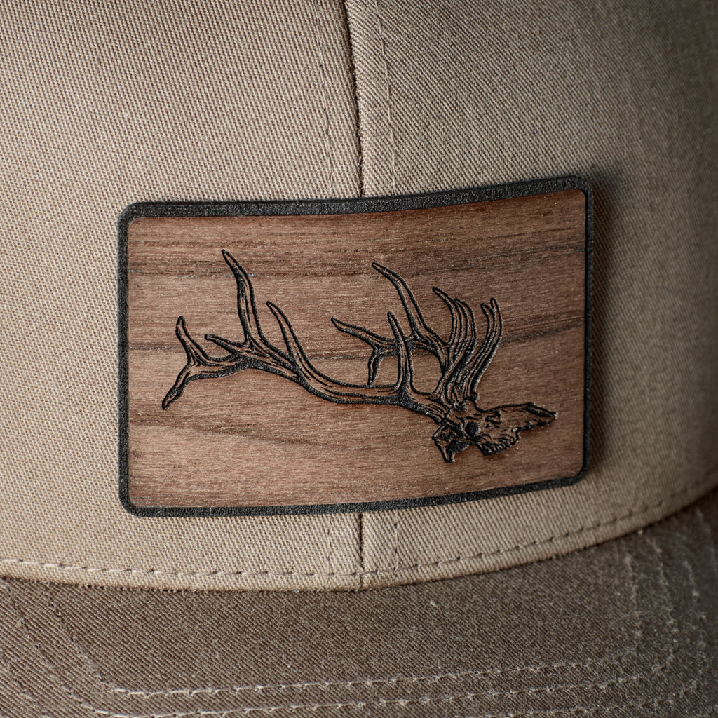 Elk Skull